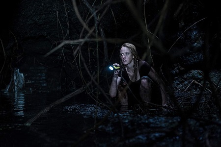 Crawl (DVD) [2019]